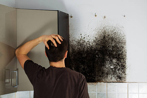 Water Damage Restoration in Eureka Springs, AR
